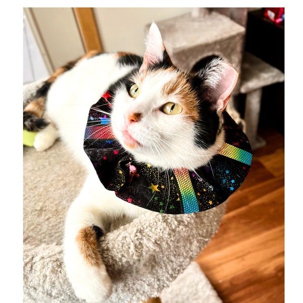 Reflective Cat Collar Cover, Handmade Bird-Safe, Iridescent Night Safety Cat Collar with Breakaway Option