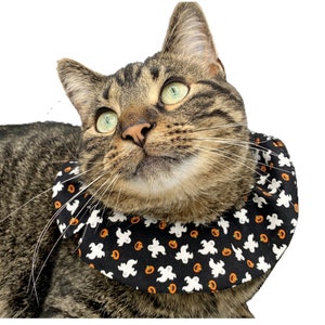 Fluffy cat collar discount