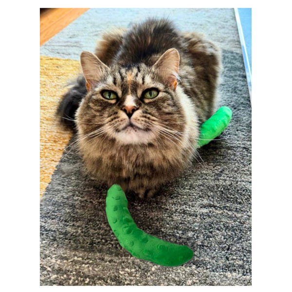 Christmas Pickle Catnip Toy, Soft Plush Stocking Stuffer, Gift for Cat Lover