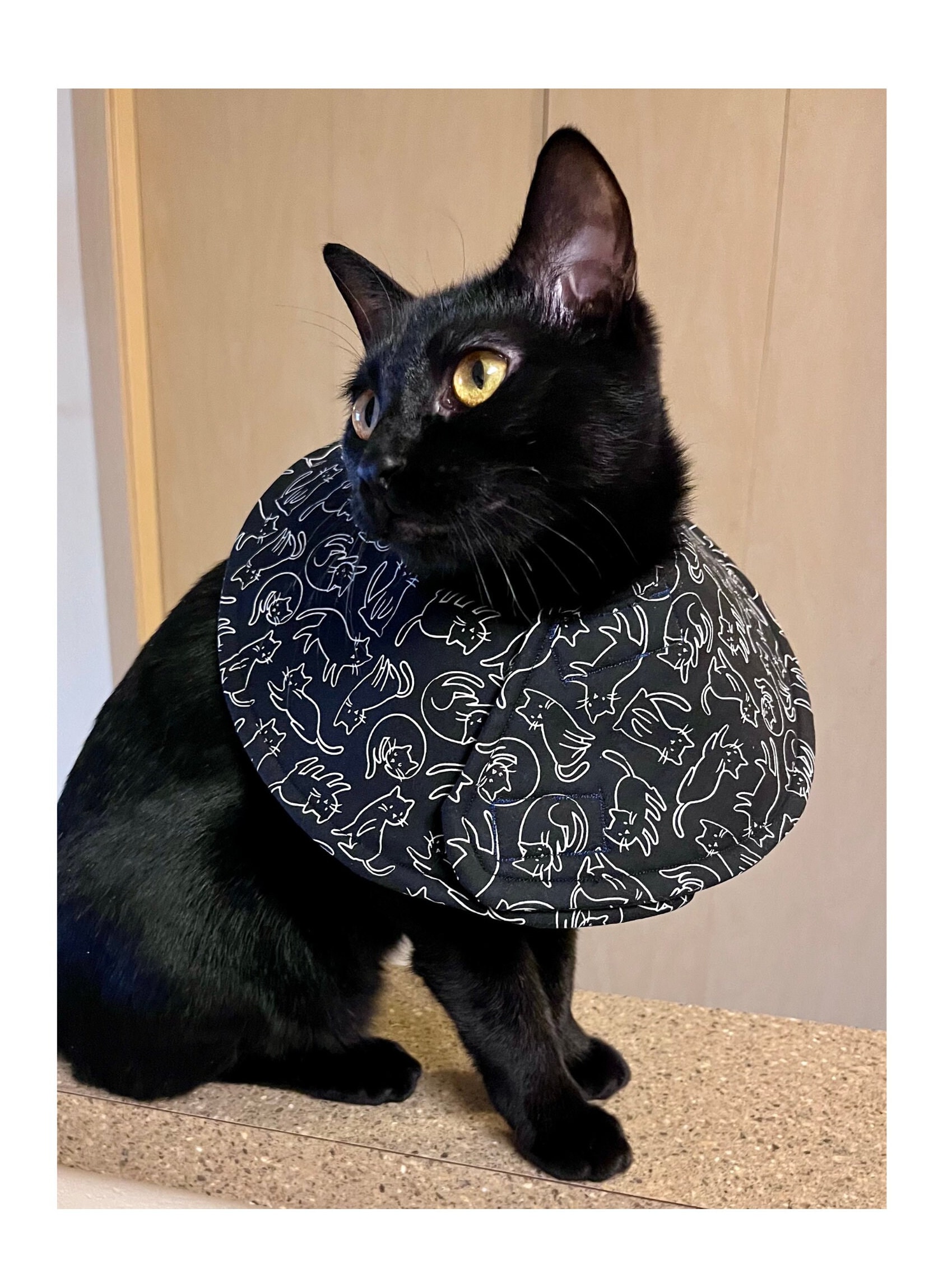 Agape Cat Cone Collar Soft And Cool, Lightweight Recovery Collar For Cats After Surgery, Adjustable Cat Cone Alternative, Reflective Neck Cone To Stop Licking,Waterproof E Collar For Wound Care (Grey