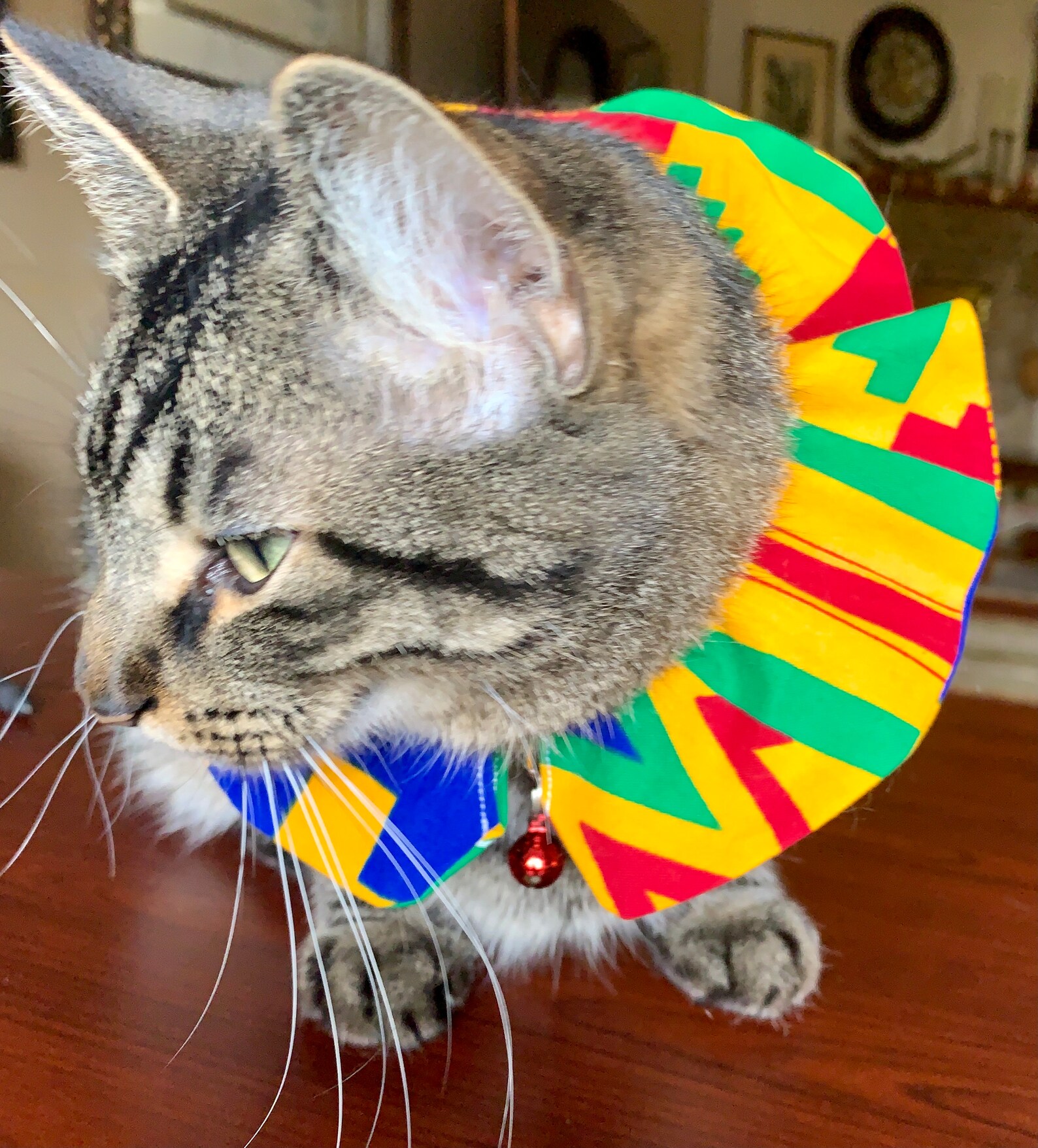 Bird Safe Cat Collar Geometric Cat Collar Cover Breakaway Etsy