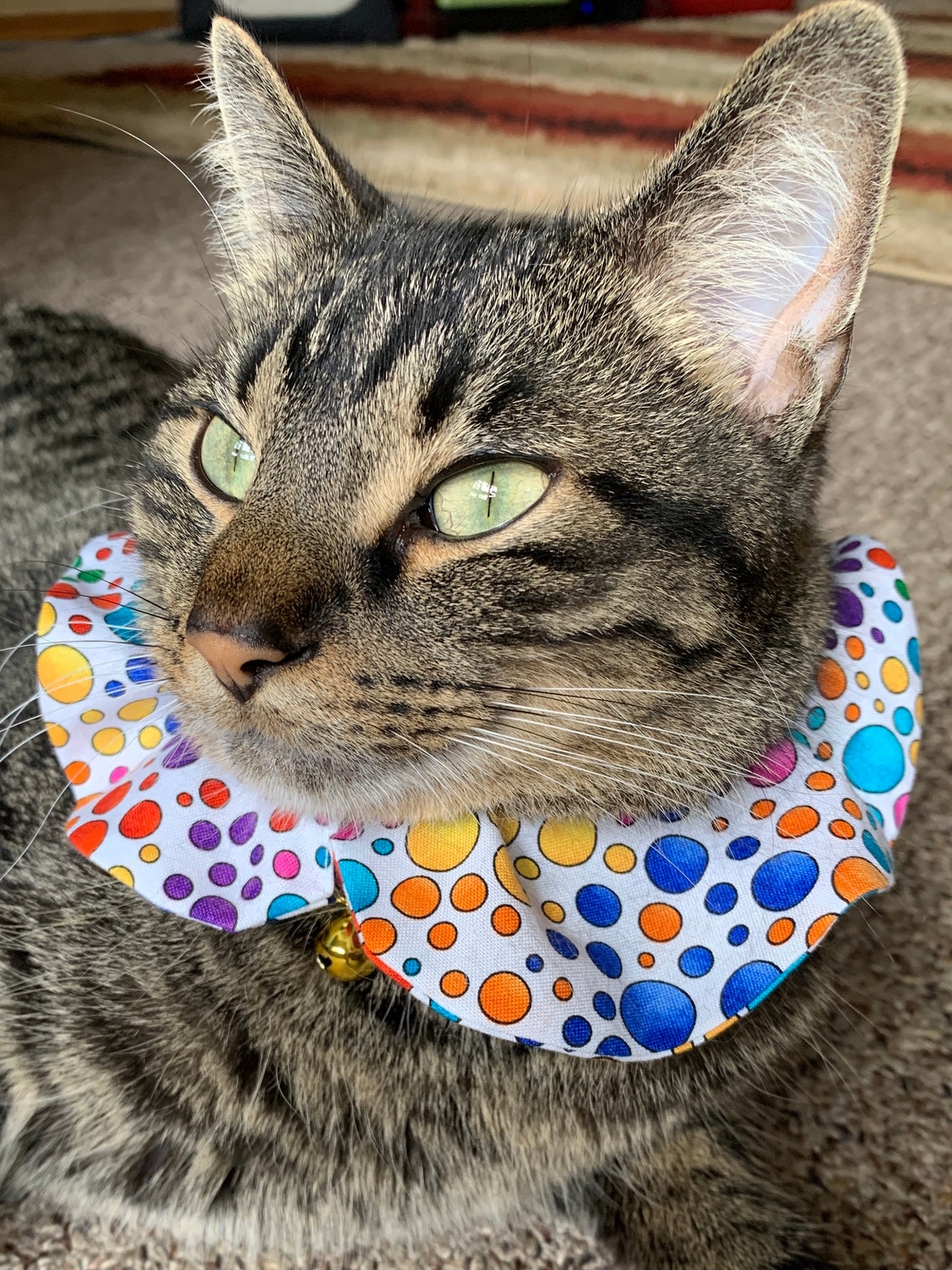 Rainbow Bubbles Bird Safe Collar High Visibility Cat Bird Etsy