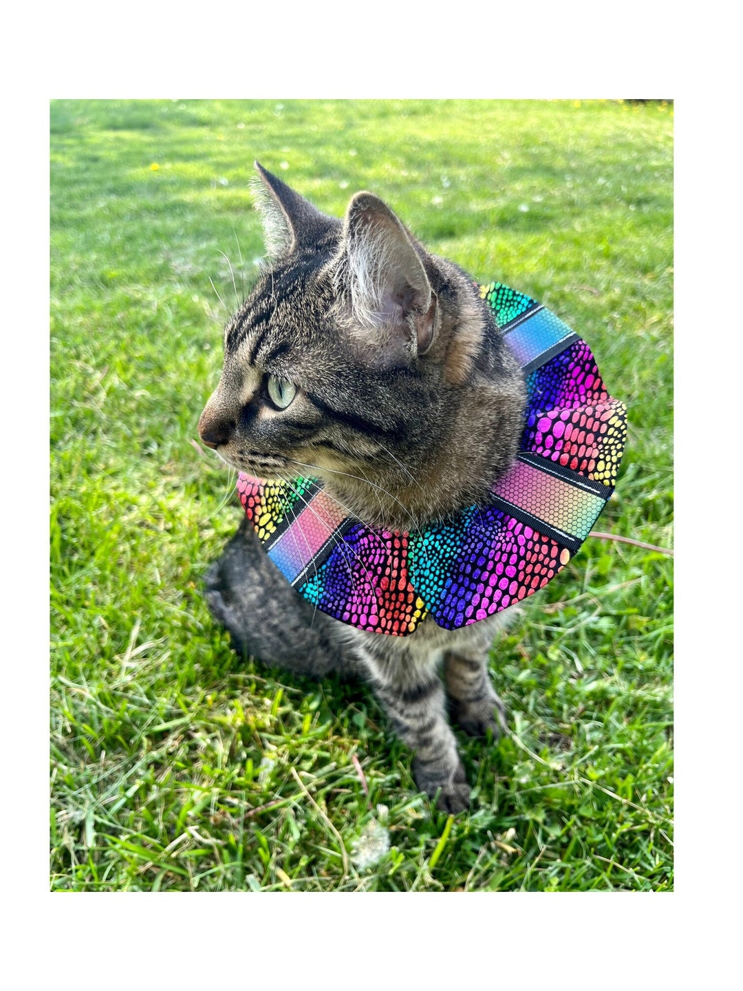 Reflective Birdsafe Cat Collar Cover Unique Handmade Cat Etsy