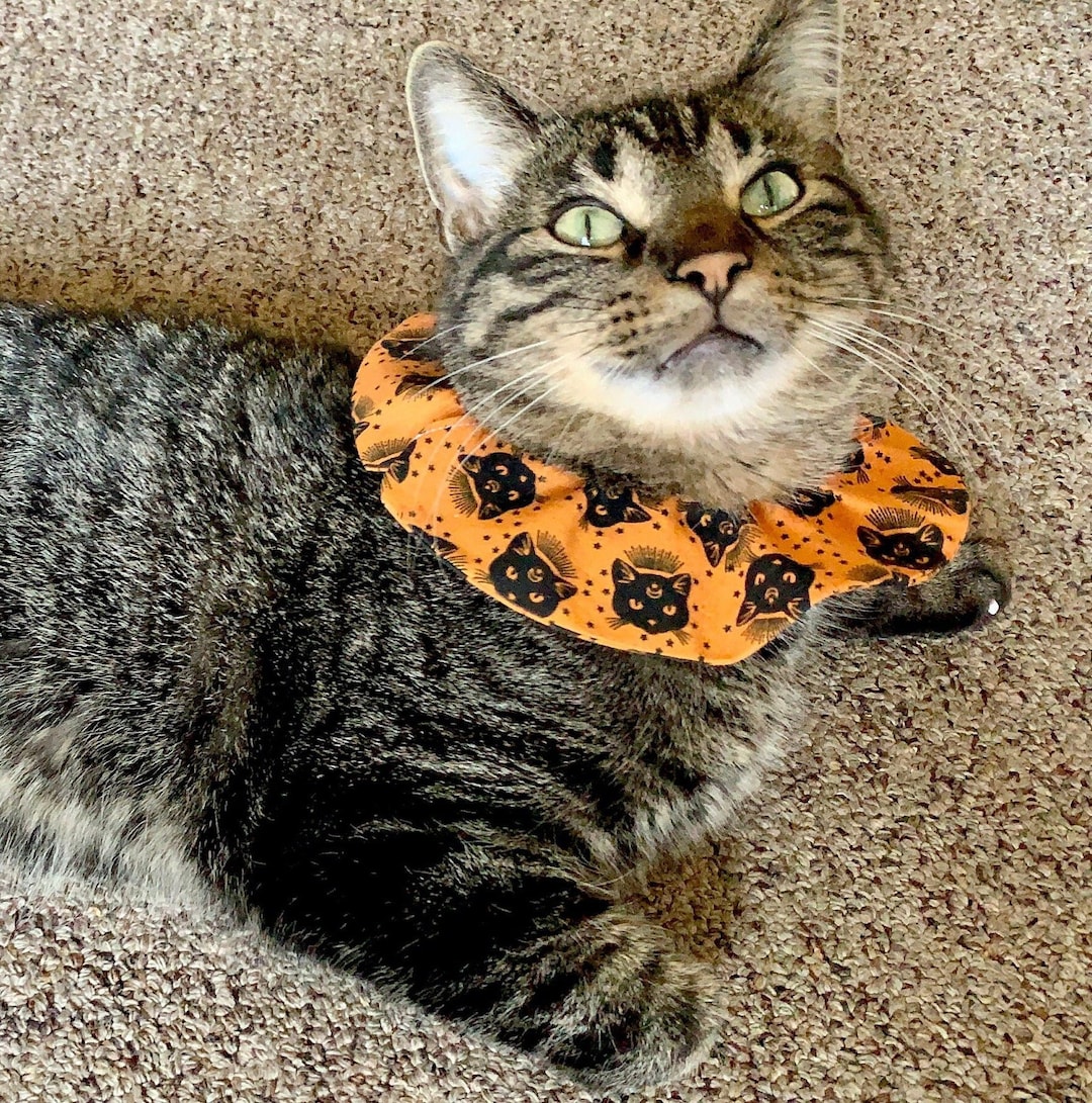 Tarot Cat Collar Cover Halloween Mystic Black Cat Design Etsy