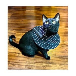 May include: A black cat wearing a navy blue and white patterned bib. The bib has a curved shape and is decorated with a repeating white script design. The cat is sitting on a wooden floor.