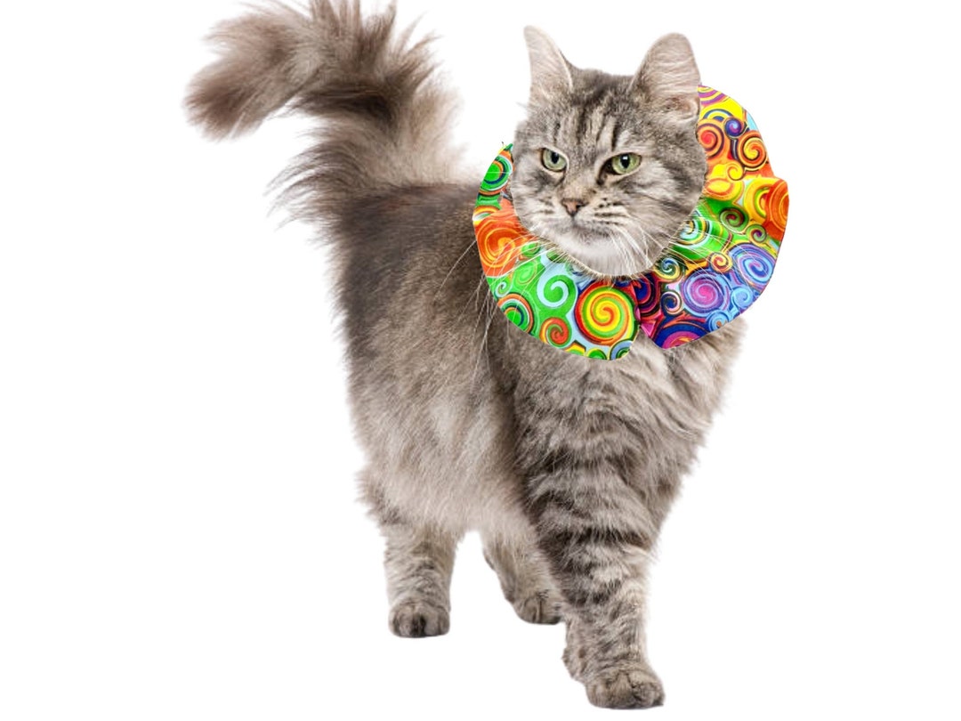 Bird Cat Collar Cover Cat Bird Collar Breakaway Collar With Etsy