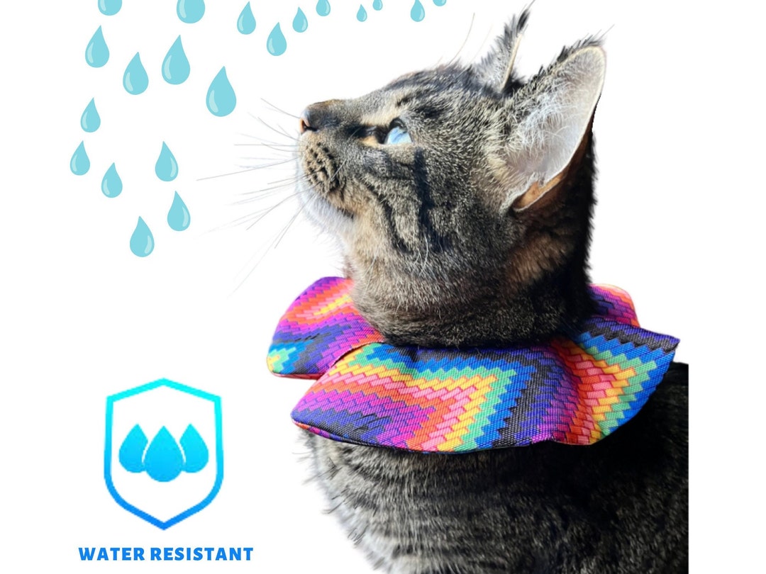 Water Resistant Bird Safe Cat Collar Cat Bird Safe Collar Etsy