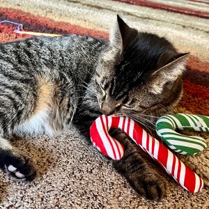 Pode incluir: Um gato tigrado deitado em um tapete listrado com dois brinquedos em forma de bengala de doces. Uma bengala de doces &eacute; vermelha e branca, a outra &eacute; verde e branca.