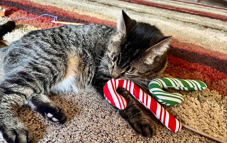 Pode incluir: Um gato tigrado deitado em um tapete listrado com dois brinquedos em forma de bengala de doces. Uma bengala de doces &eacute; vermelha e branca, a outra &eacute; verde e branca.