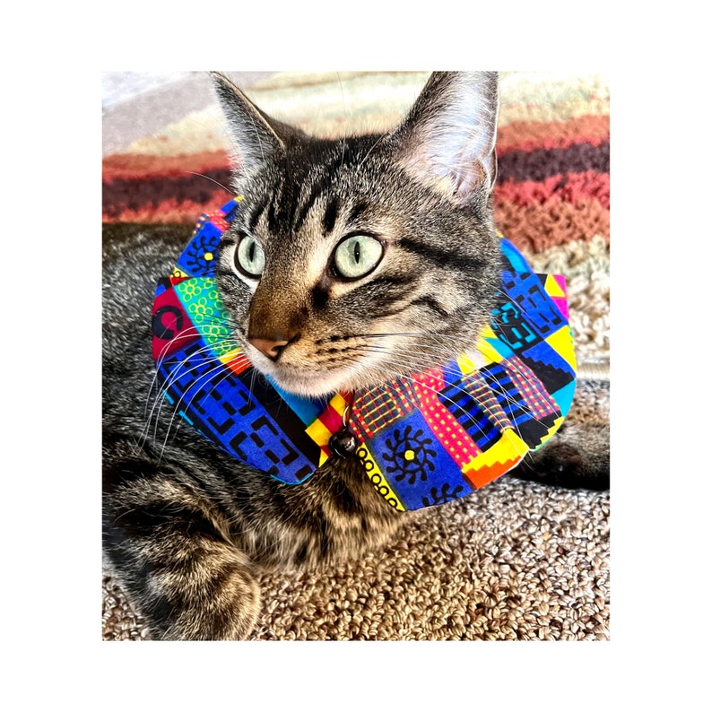 Bird Safe Cat Collar Cover Breakaway Collar With Bell Fancy Etsy