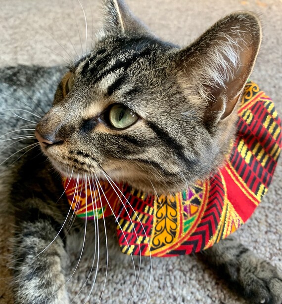 cat scrunchie collar