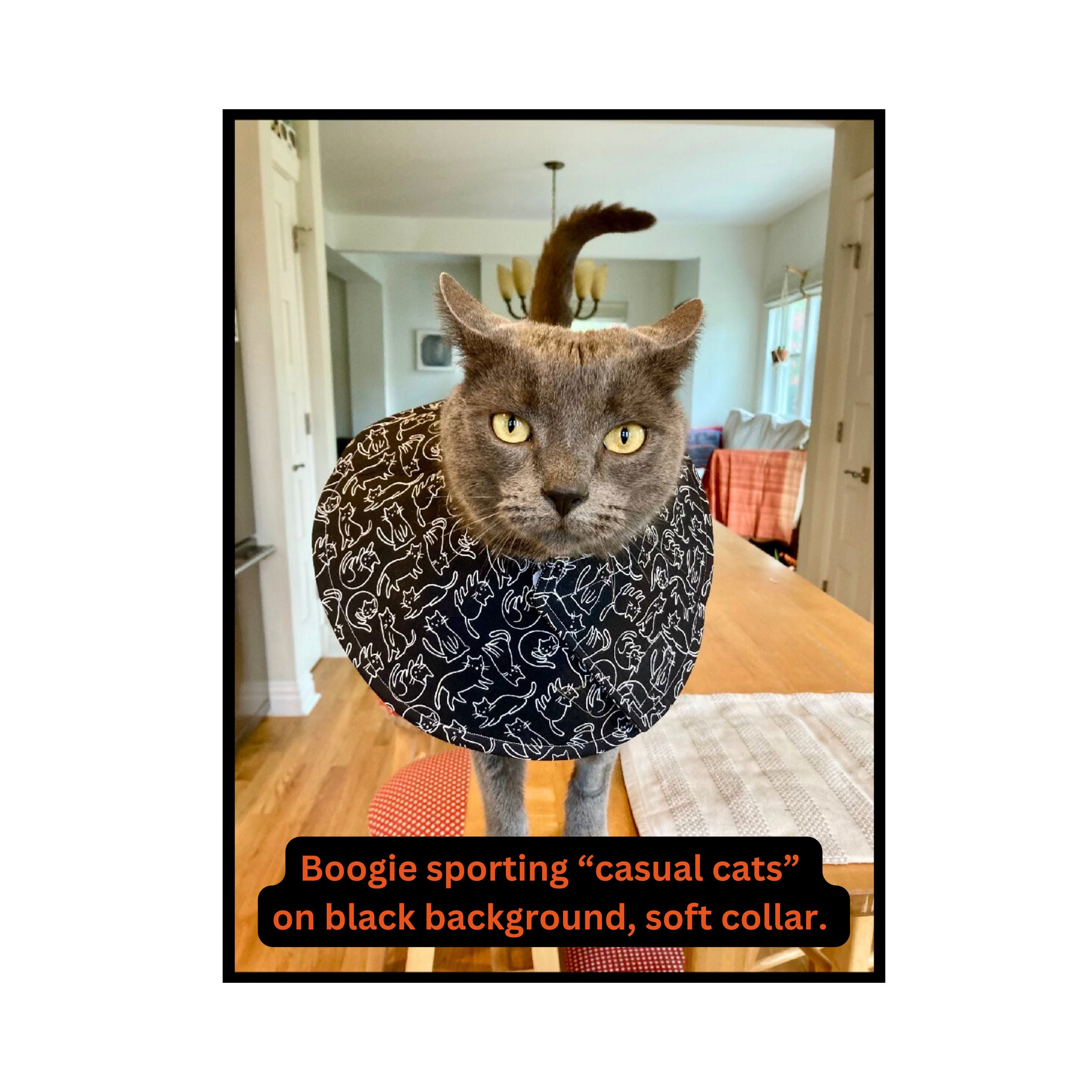 Soft Cat Cone Adjustable Cat Recovery Collar Cute Flower Neck