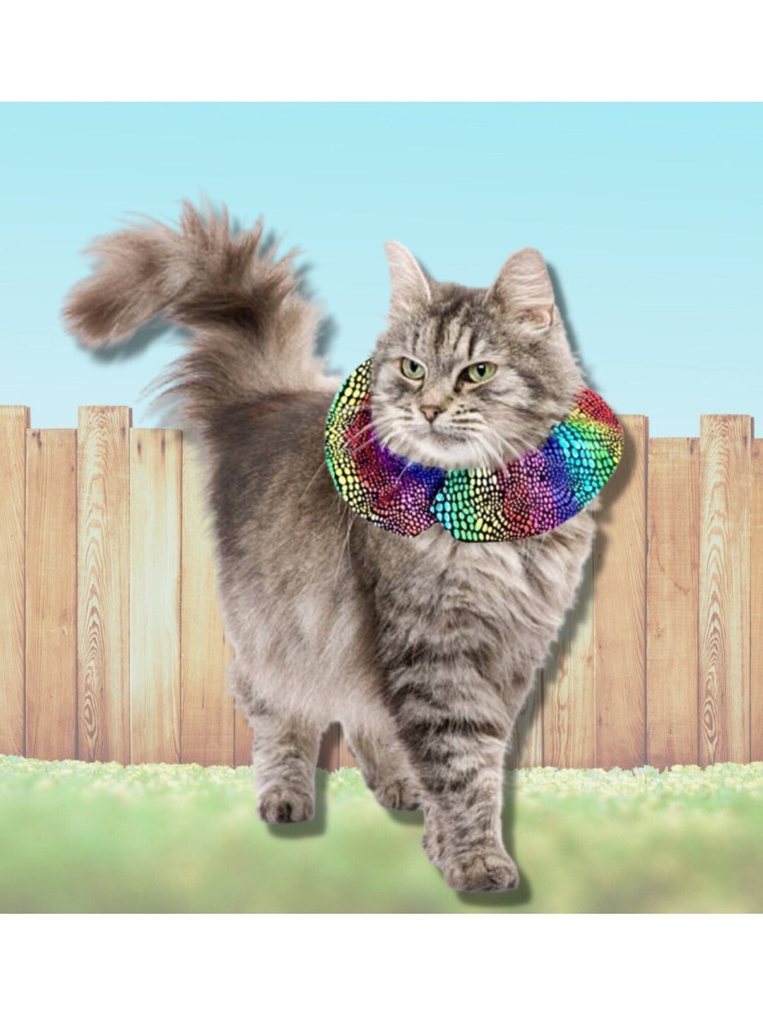 Reflective Bird Safe Cat Collar Cat Collar to Scare Birds Etsy