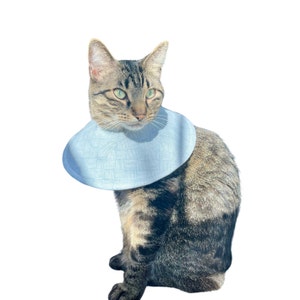 May include: A tabby cat wearing a light blue, patterned, cone-shaped Elizabethan collar. The collar is designed to prevent the cat from licking or scratching a wound.
