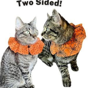 May include: Two tabby cats wearing reversible Halloween collars. One collar is orange with black polka dots, the other is orange with black spiderwebs. The text "Two Sided!" is above the cats.