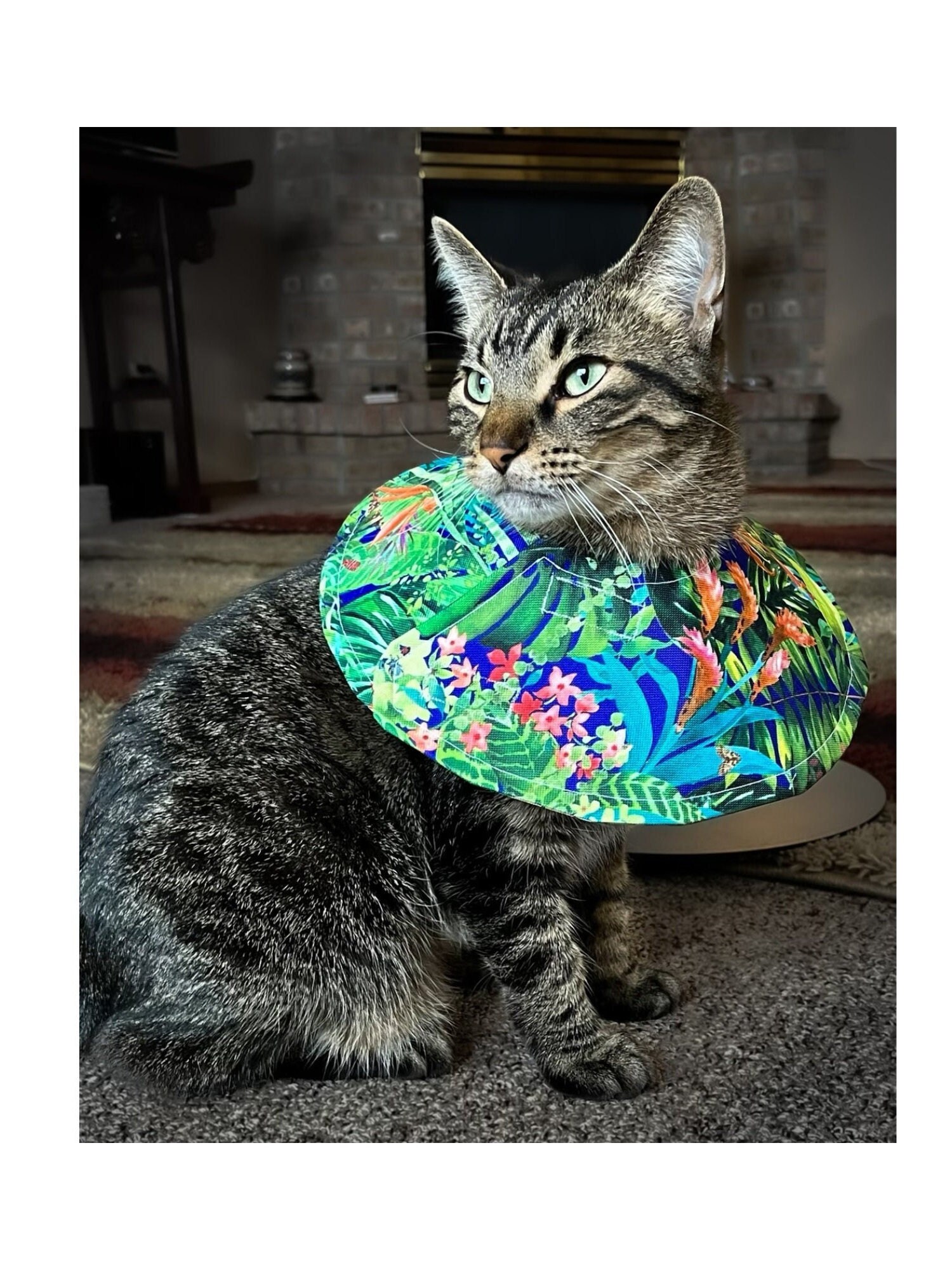 Fabric top cat cone