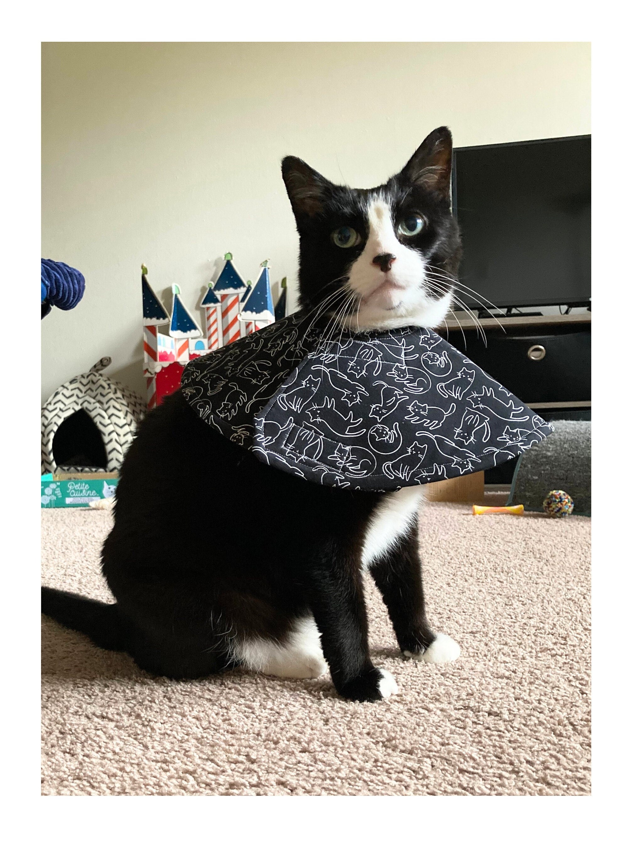 Agape Cat Cone Collar Soft And Cool, Lightweight Recovery Collar For Cats After Surgery, Adjustable Cat Cone Alternative, Reflective Neck Cone To Stop Licking,Waterproof E Collar For Wound Care (Grey
