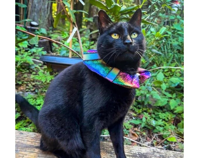 Reflective Birdsafe Cat Collar Cover, Unique, Handmade Cat Collar