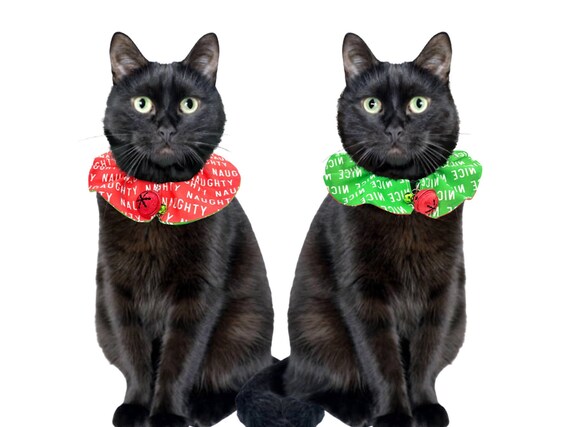 Christmas cat collar hotsell