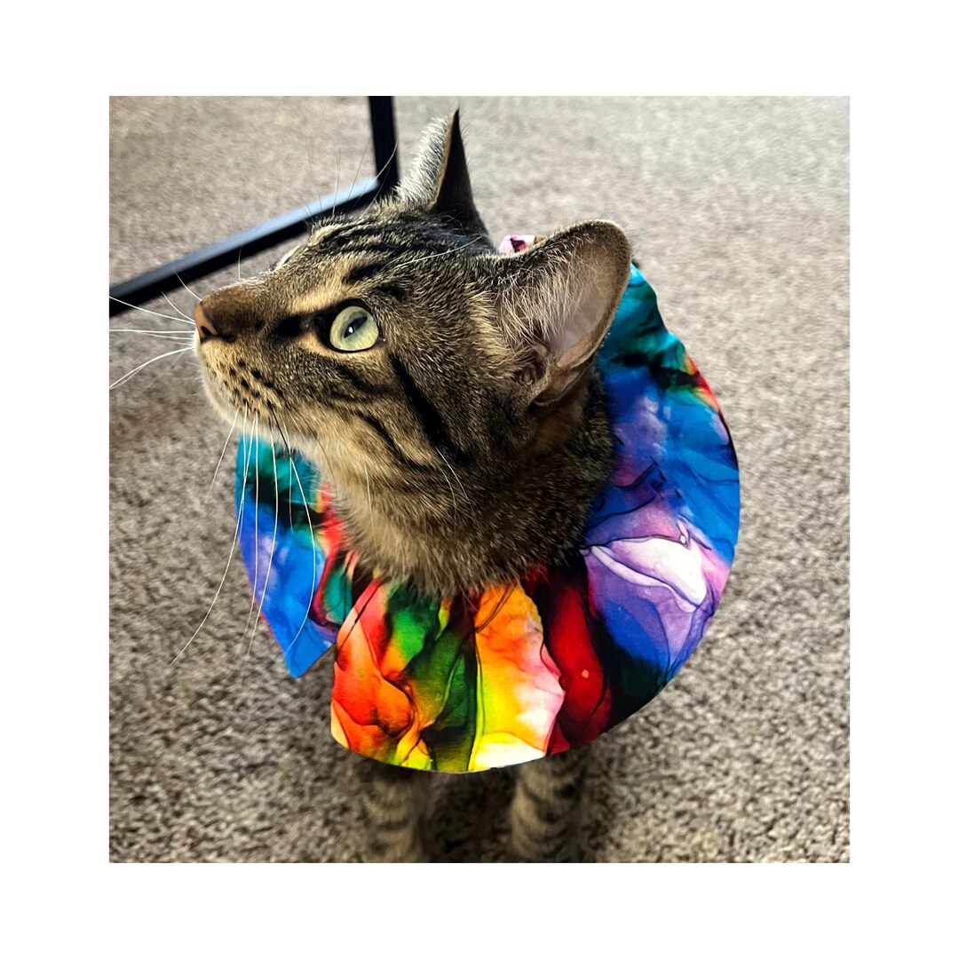 Cat Birdsafe Cat Collar Cute Cat Collar Cover Rainbow Clown Etsy