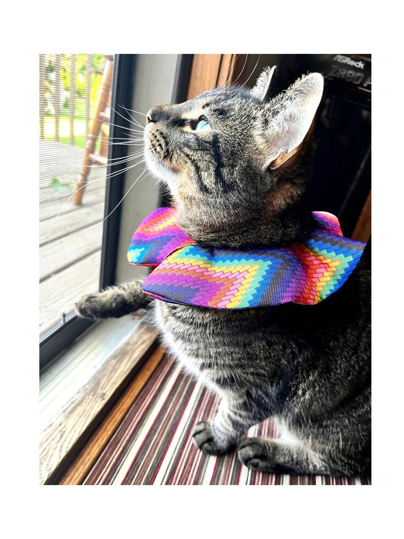 Water Resistant Bird Safe Cat Collar Cat Bird Safe Collar Etsy