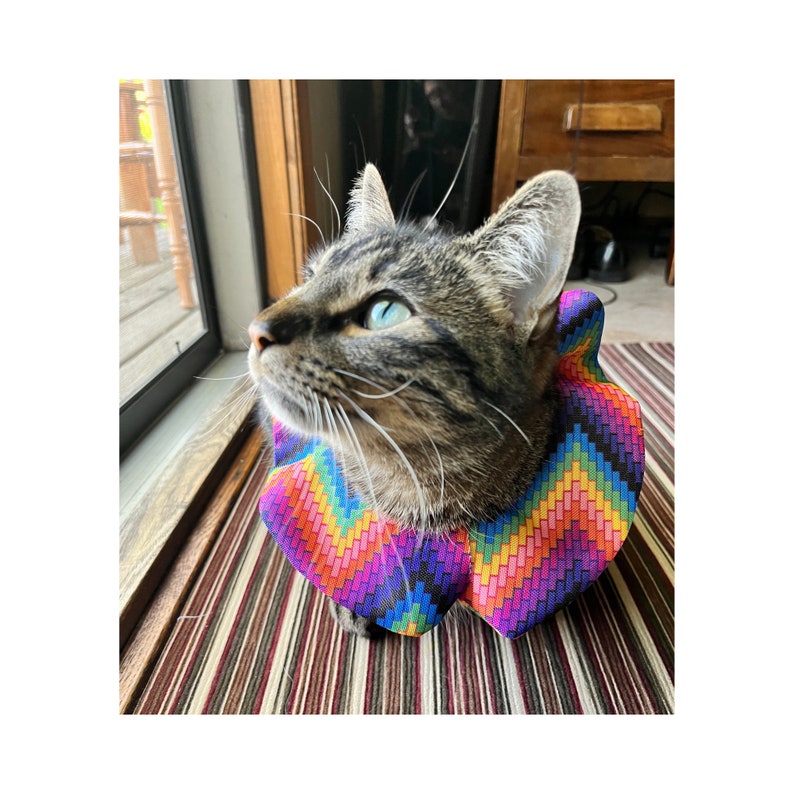 Water Resistant Bird Safe Cat Collar Cat Bird Safe Collar Etsy