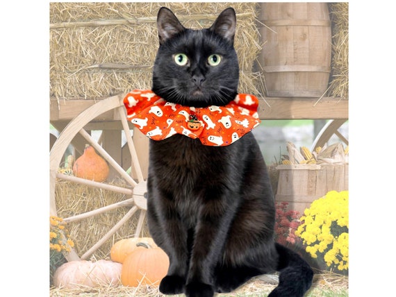 Orange Halloween Cat Collar Glow in the Dark Collar Cover Fancy Cat Collar Halloween Cat Bandana Funny Cat Collar Orange Cat Collar Etsy