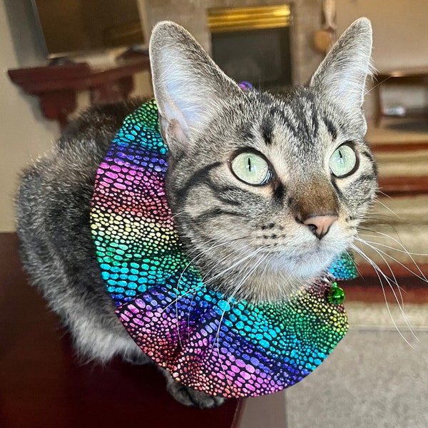 Birdsbesafe Collar Etsy