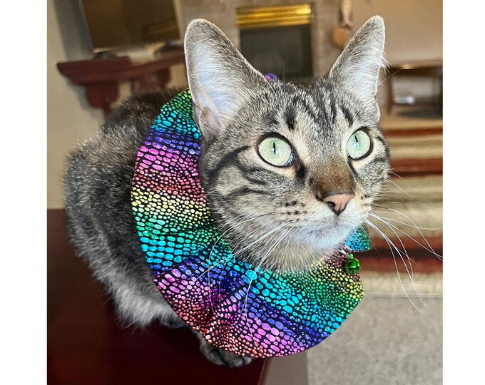 Reflective Birdsafe Cat Collar Kitten Collar Iridescent Etsy