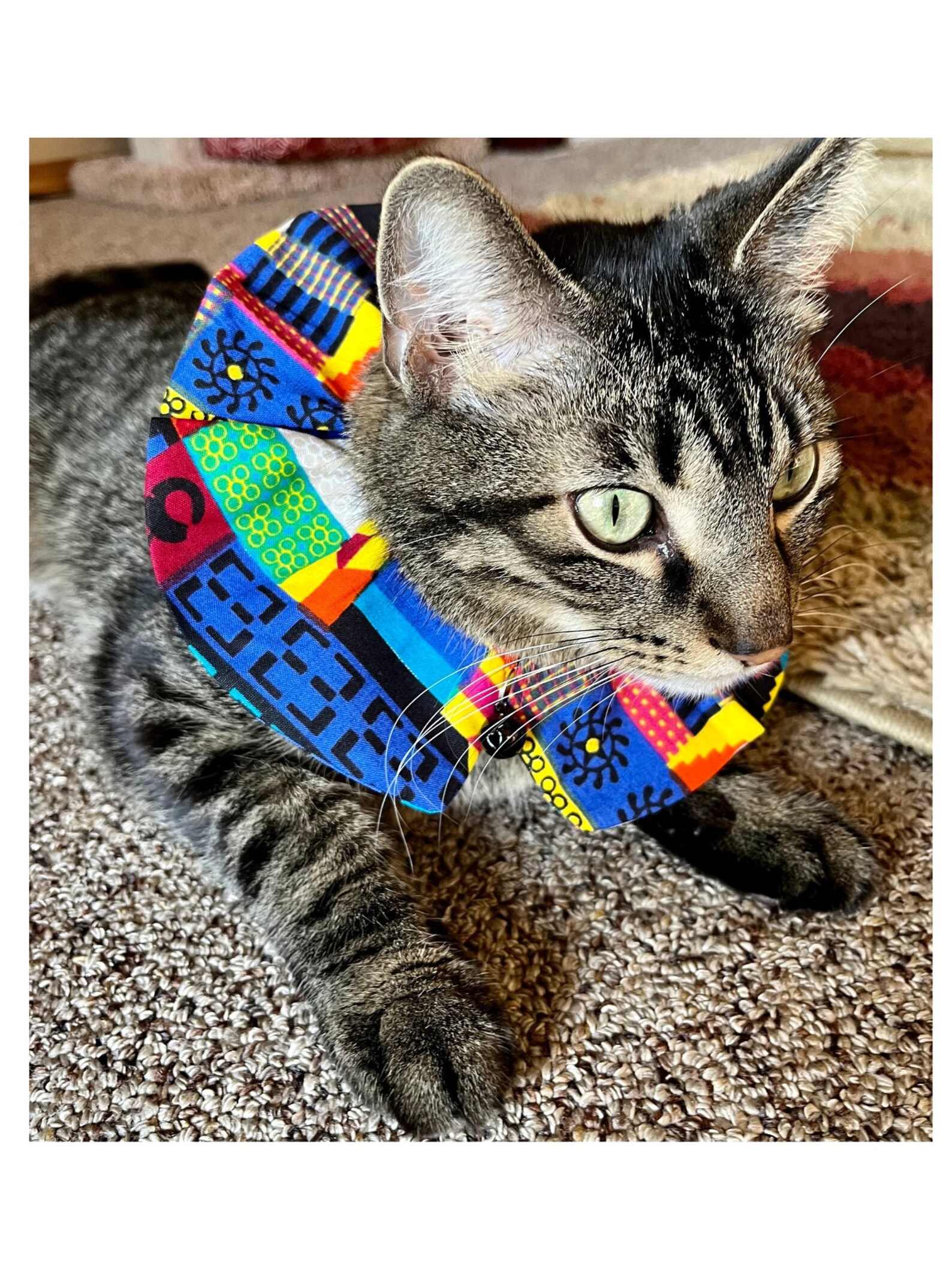 Bird Safe Cat Collar Cover Breakaway Collar With Bell Fancy Etsy