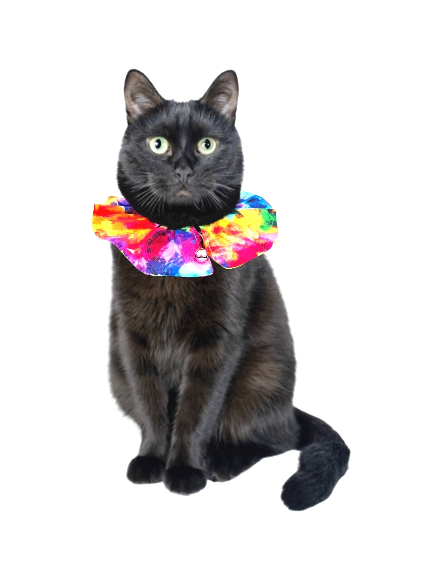 Bird Safe Cat Collar Etsy