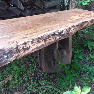 May include: A rustic wooden bench with a natural live edge top and a single, thick, tree trunk leg. The bench is sitting on a bed of green grass and leaves.