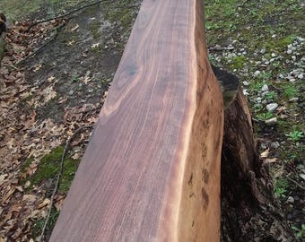 Live Edge Walnut Fireplace Mantle