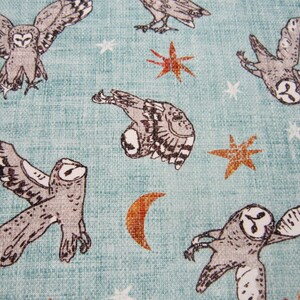 Aqua Woodland Owl Cotton Fabric Called Forest Fable Designed By Esther Fallon Lau Made By Figo Fabrics DP90348