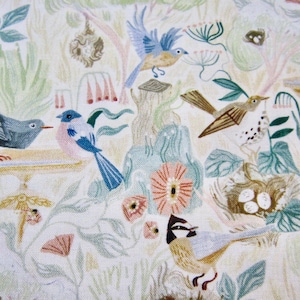 Dear Stella Cotton Bird Fabric Called "BirdSong" Designed By Rae Ritchie Birdsong Collection STELLA-DRR2370