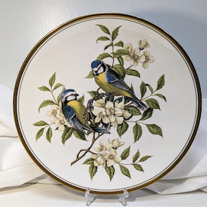 Garden Birds by Spode Plates - Etsy
