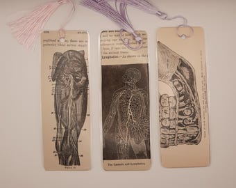 Bookmarks - Upcycled Ephemera - Made from Vintage Medical Illustrations