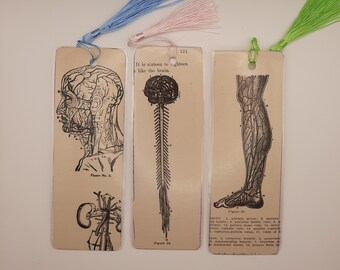 Bookmarks - Upcycled Ephemera - Made from Vintage Medical Illustrations