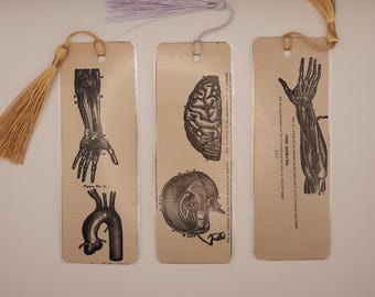 Bookmarks - Upcycled Ephemera - Made from Vintage Medical Illustrations
