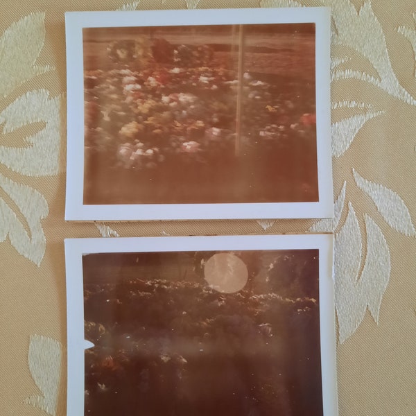 Vintage Color Cemetery Photos - 1960s Polaroids - Set of TWO