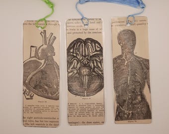 Bookmarks - Upcycled Ephemera - Made from Vintage Medical Illustrations