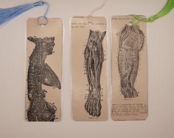 Bookmarks - Upcycled Ephemera - Made from Vintage Medical Illustrations