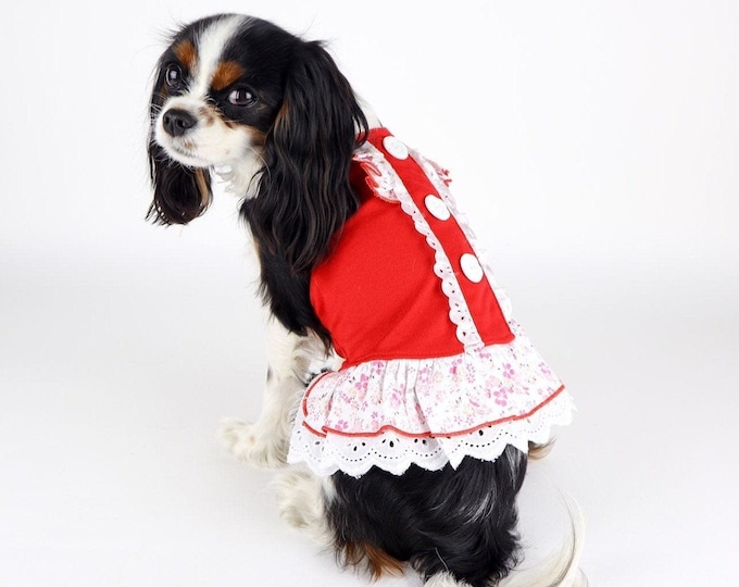 SMALL DOG - Rocking Doggy Dress White main image 0