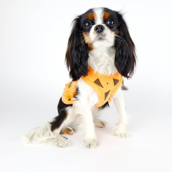 Pebbles Flintstone Dog Outfit Costume Dress Tank Small Dogs Sizes Free Shipping Halloween Handmade Read Full Description
