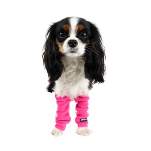 Dog Leg Warmers SET OF 2 FRONT Legs