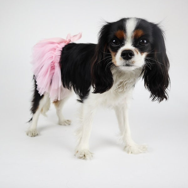Dog Tutu:  Stretchy Elastic Waistband, Soft Tulle 6 colors Available Free Shipping