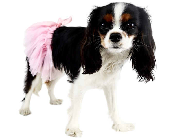 Dog Tutu:  Stretchy Elastic Waistband, Soft Tulle 6 colors Available Free Shipping