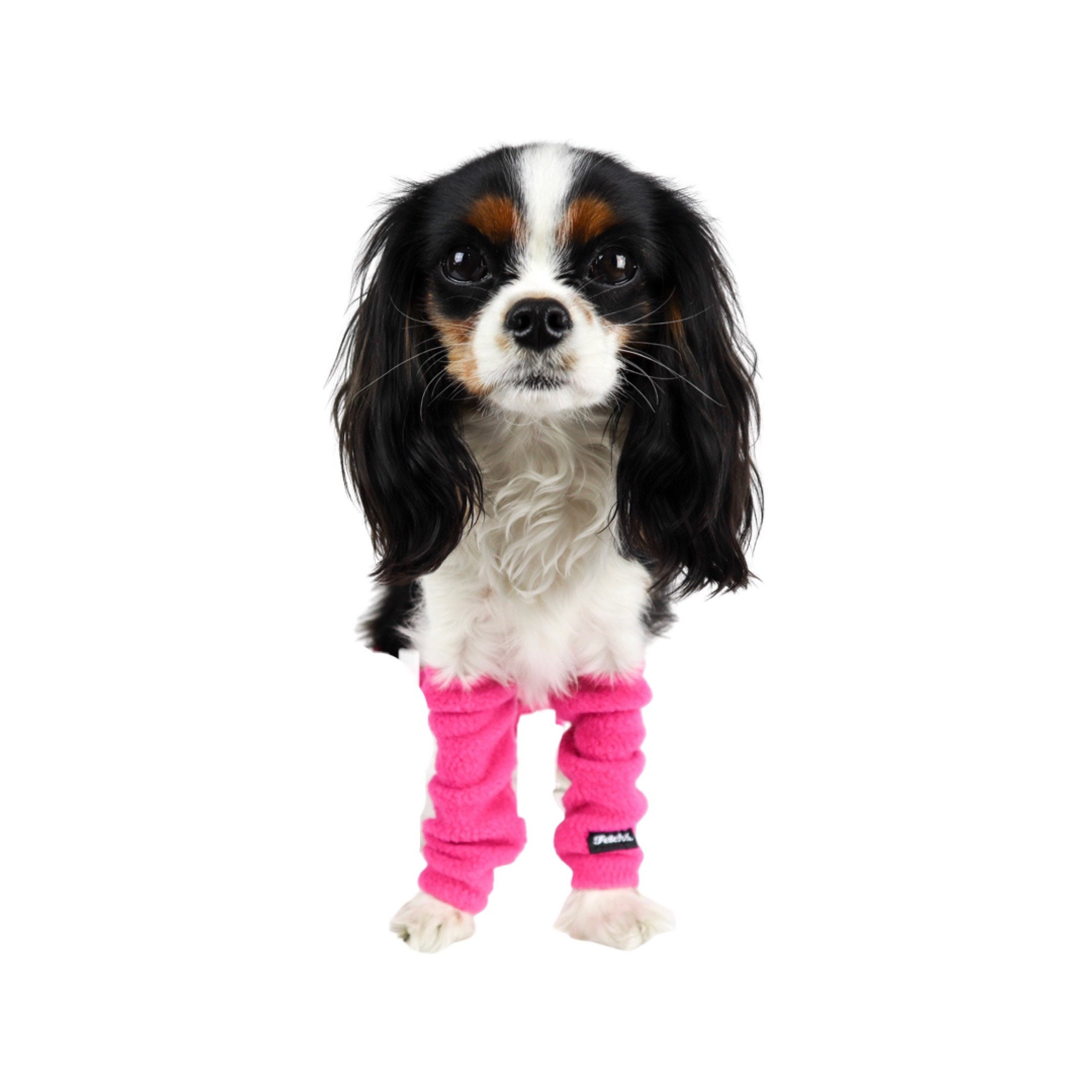 Dog Leg Warmers SET OF 2 FRONT Legs