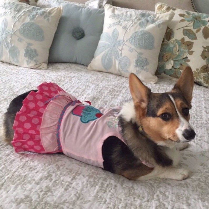 Custom Dog Birthday Dress Etsy