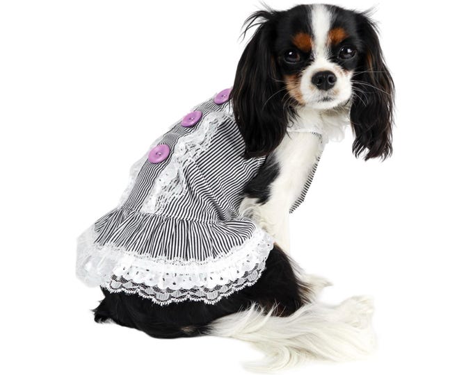 Dog Sun Dress Pinstriped Black White Cotton Lace Ruffle Cute Boho Small Dogs Free Shipping